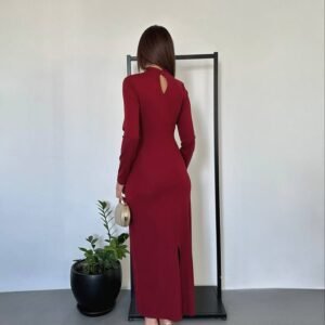 bodycon midi dress